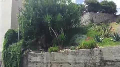 Boccadasse, nella cartolina di Genova ecco la rumenta a cielo aperto