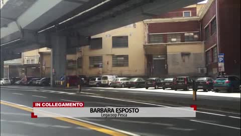 Mercato ittico a Genova, Esposto (Legacoop): 