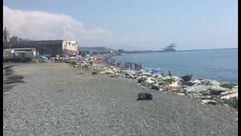 Inchiesta spiagge libere, a Voltri un solo bagno in due chilometri