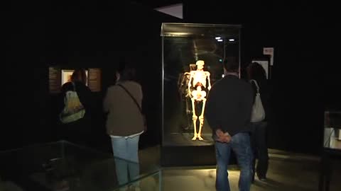 Al Porto Antico di Genova grande successo per 'Body Worlds', la mostra prorogata fino al 21 agosto