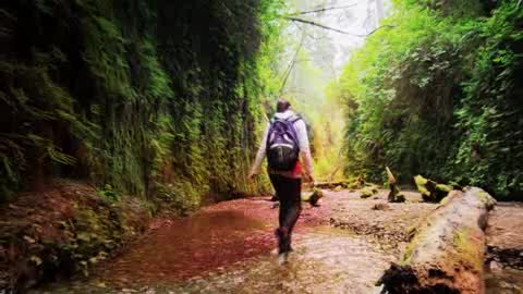 Viaggio in Liguria: Valbrevenna, il libro tra storia e futuro (1)