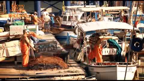 Il Porto Antico e la Darsena sono Speciali