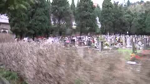 Cimiteri genovesi al collasso, quella volta che la minoranza in Comune trovò i soldi per Staglieno