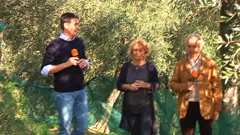 Viaggio in Liguria a Badalucco tra olio, turismo e arte (2)