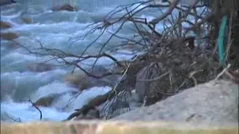 Alluvione, il paradosso della burocrazia: 