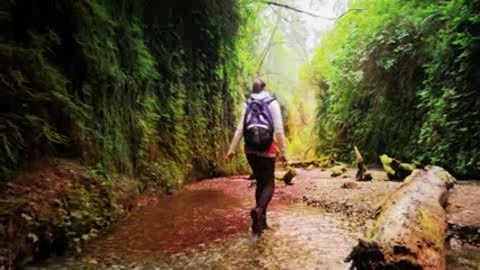 Viaggio in Liguria alla scoperta dell'area interna del Genovesato (1)