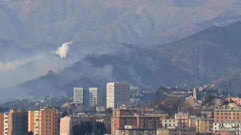 Fiamme sulle alture di Genova, presidente Municipio: 