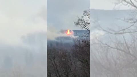 Incendio a Moconesi, le fiamme divorano il bosco: le immagini