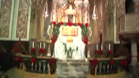 Si ripete a Taggia la tradizione dei Sepolcri, 5mila ranuncoli per festeggiare la Pasqua 