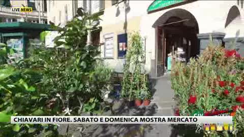 'Chiavari in fiore', nel weekend mostra mercato per le vie cittadine