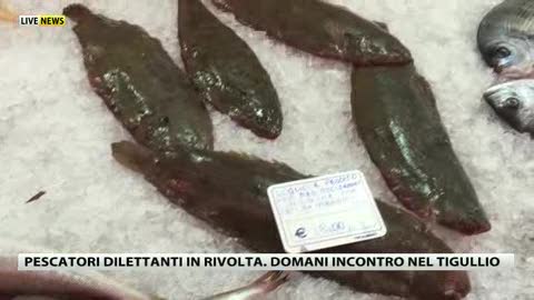 Tassa sui pescatori dilettanti, Cassola: 