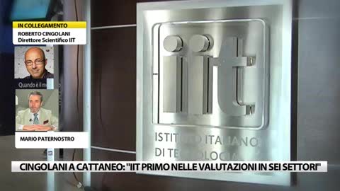 Cingolani risponde a Cattaneo: 