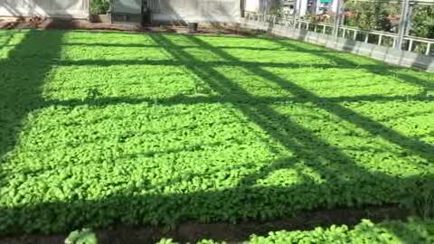 Siccità in Liguria, la previsione dei giovani agricoltori:  