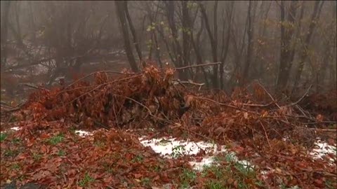 E' caduta la prima neve in Liguria: le immagini della provinciale tra Urbe e Tiglieto