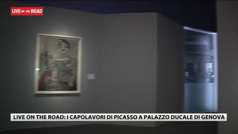 Picasso a Genova, ecco l'anteprima della mostra