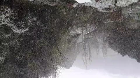 Allerta neve, imbiancato Chiale in Val Cerusa