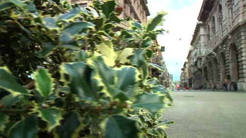 Capodanno a Genova: Primocanale in diretta per vivere insieme l'arrivo del nuovo anno