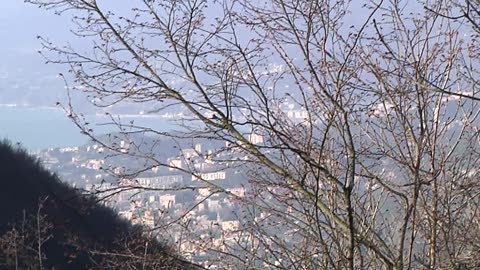 Mura e forti di Genova nel mondo, viaggio tra storia e progetti (1)