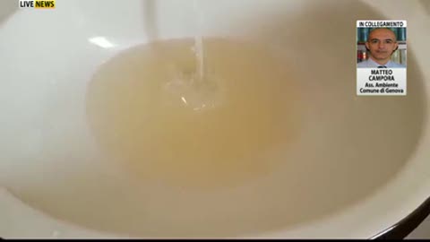 Acqua gialla dai rubinetti delle scuole, l'assessore Campora: 