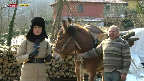 Gelo in Liguria, grande freddo a Casella: -9 e le uova nel pollaio scoppiano