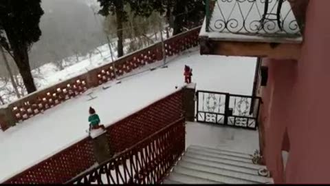 Neve in Liguria, le vostre immagini: la situazione a La Spezia