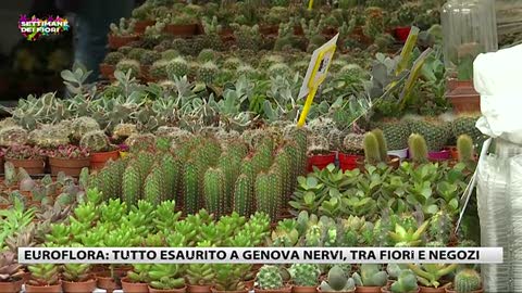 Euroflora ai Parchi di Nervi, alla scoperta dei segreti delle piante grasse 