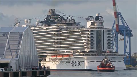 Msc Seaview, Stefano Messina (presidente Assarmatori): 