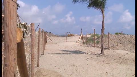 Arma di Taggia, ecco la spiaggia per gli amici a quattro zampe