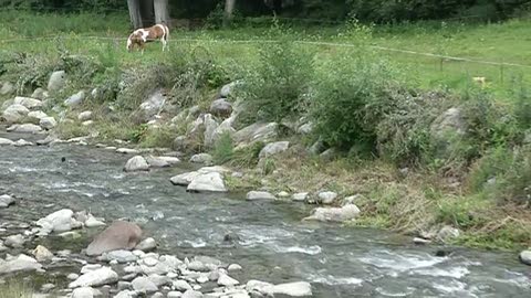 Sampdoria, a Ponte di Legno un pò di relax per i giocatori al fiume