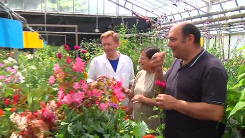 Dal giardino alla cucina, arrivano i fiori commestibili