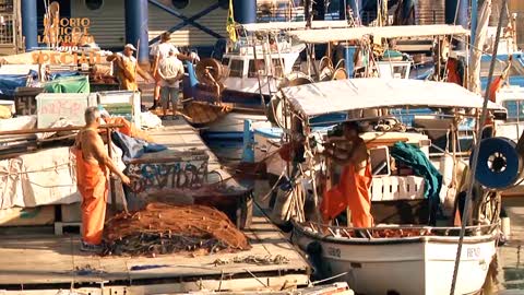 Porto Antico e Darsena sono Speciali