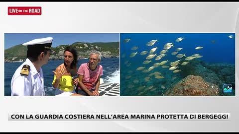 Bergeggi, l’isola privata della Liguria  tra storia e approdi futuri