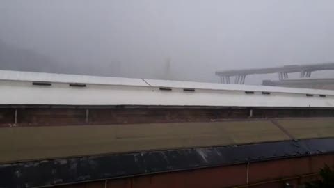 Disastro a Genova, ecco il momento del crollo di Ponte Morandi