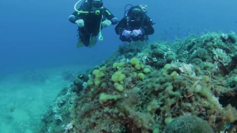 Ventimiglia, i sub puliscono i fondali marini