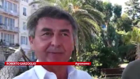 Ventimiglia, l’agronomo Garzoglio: 