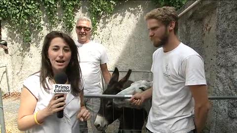 Expo' Valpolcevera, Gabriele e la sua azienda con gli asini: 