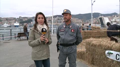  A Orientamenti anche i cavalli del reparto biodiversità dei carabinieri per il battesimo della sella 