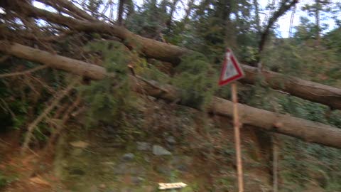 Corsa ad ostacoli per percorrere il parco Villa Duchessa di Galliera a Voltri