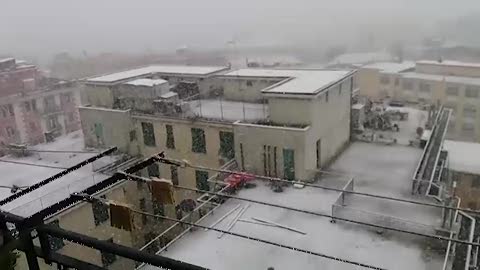 Neve a Genova, la situazione in zona Cornigliano raccontata dai vostri video