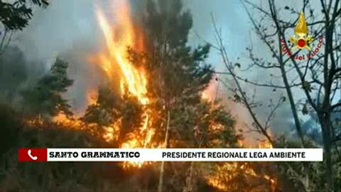 Incendi, Grammatico (Legambiente): 