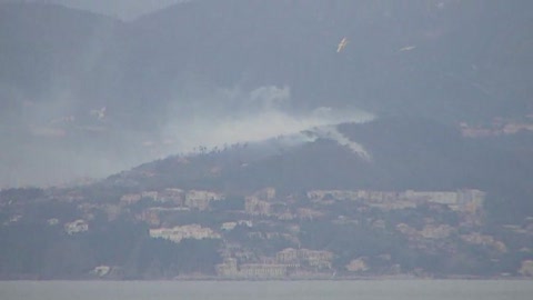 Pauroso incendio a Cogoleto, a provocarlo la caduta di un cavo elettrico