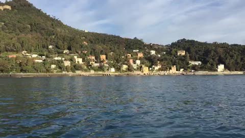 Festa a Portofino per la riapertura della strada, il saluto dei delfini