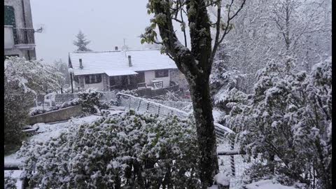 Vento, pioggia e neve: è maggio ma sembra inverno