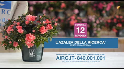 AIRC incontra la Ricerca Oncologica in Liguria 1/4