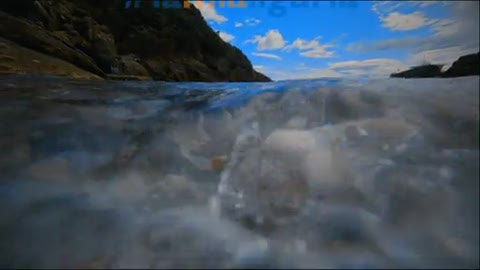 Viaggio in Liguria fa tappa in Vallescrivia, il truck di Primocanale nei paesi delle rose (1)