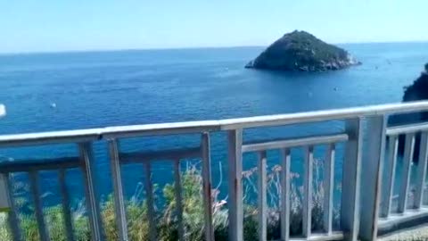 Cassonetto lanciato a Bergeggi, ha confessato il 17enne in vacanza