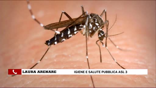 Caso di virus Dengue a Genova, ecco le misure sanitarie adottate