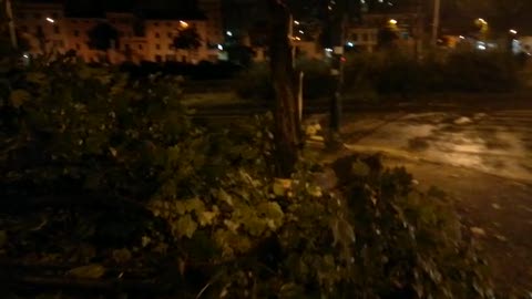 Allerta rossa a Genova, in piazzale Parenzo crolla un albero