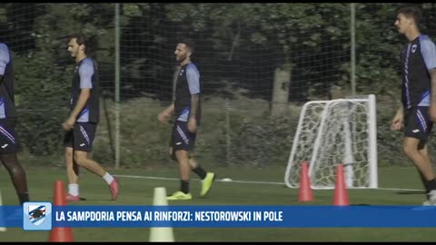 La Sampdoria pensa al mercato di gennaio, torna d'attualità la pista Nestorowski