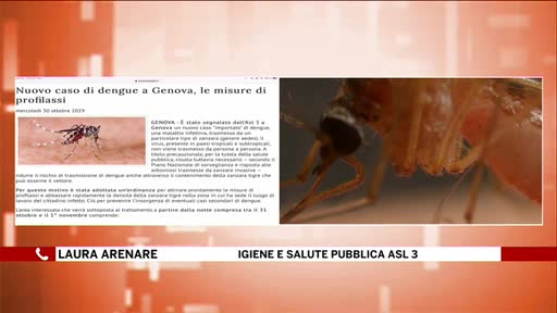 Nuovo caso di Dengue a Genova, i consigli del medico esperto